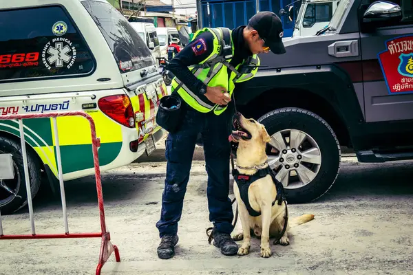Bangkok, Tayland, 29 Mart 2025. Kurtarma köpeği ve arama köpeği, Tayland başkentini vuran depremden sonra çöken yüksek binadaki inşaat alanında çalışıyor..