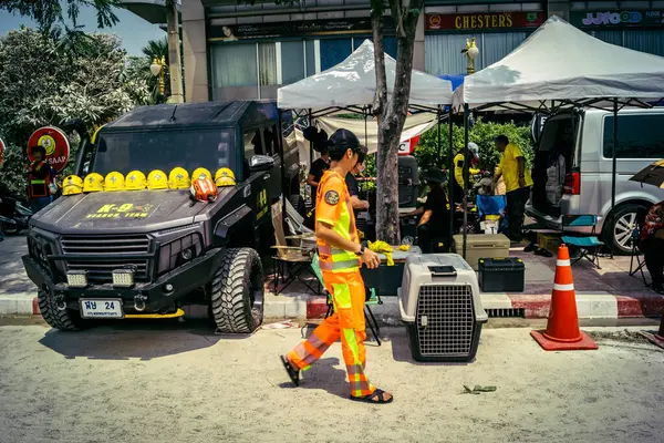 Bangkok, Tayland, 29 Mart 2025. Kurtarma köpeği ve arama köpeği, Tayland başkentini vuran depremden sonra çöken yüksek binadaki inşaat alanında çalışıyor..