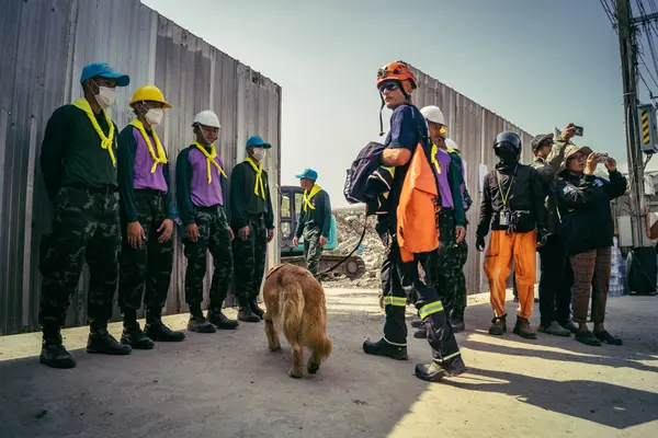 Bangkok, Tayland, 29 Mart 2025. Kurtarma köpeği ve arama köpeği, Tayland başkentini vuran depremden sonra çöken yüksek binadaki inşaat alanında çalışıyor..