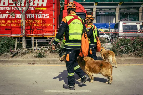 Bangkok, Tayland, 29 Mart 2025. Kurtarma köpeği ve arama köpeği, Tayland başkentini vuran depremden sonra çöken yüksek binadaki inşaat alanında çalışıyor..