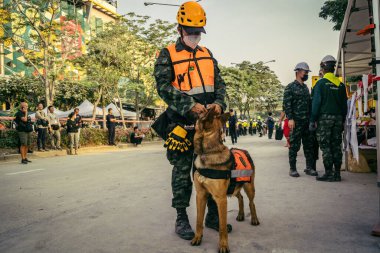 Bangkok, Tayland, 29 Mart 2025. Kurtarma köpeği ve arama köpeği, Tayland başkentini vuran depremden sonra çöken yüksek binadaki inşaat alanında çalışıyor..