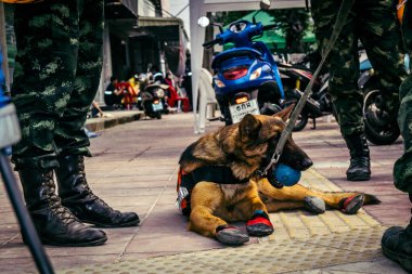 Bangkok, Tayland, 2 Nisan 2025. Bangkok depremi sonrası yıkılan yüksek binaların inşaatında kurtarma ekipleri çalışıyor. Birçok kurban hala enkaz altında..
