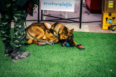 Bangkok, Tayland, 2 Nisan 2025. Bangkok depremi sonrası yıkılan yüksek binaların inşaatında kurtarma ekipleri çalışıyor. Birçok kurban hala enkaz altında..