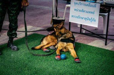 Bangkok, Tayland, 2 Nisan 2025. Bangkok depremi sonrası yıkılan yüksek binaların inşaatında kurtarma ekipleri çalışıyor. Birçok kurban hala enkaz altında..