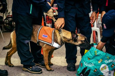 Bangkok, Tayland, 2 Nisan 2025. Bangkok depremi sonrası yıkılan yüksek binaların inşaatında kurtarma ekipleri çalışıyor. Birçok kurban hala enkaz altında..