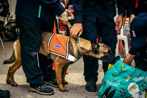 Bangkok, Tayland, 2 Nisan 2025. Bangkok depremi sonrası yıkılan yüksek binaların inşaatında kurtarma ekipleri çalışıyor. Birçok kurban hala enkaz altında..