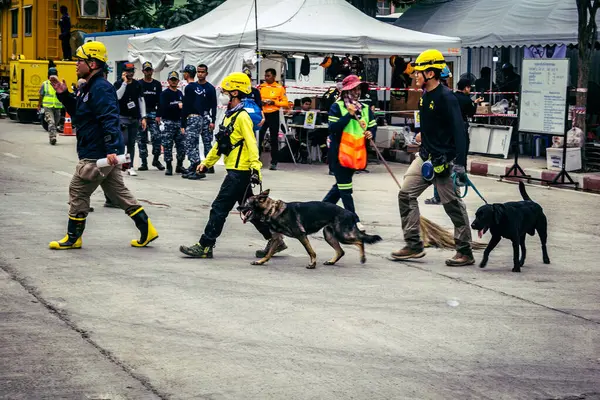 Bangkok, Tayland, 2 Nisan 2025. Bangkok depremi sonrası yıkılan yüksek binaların inşaatında kurtarma ekipleri çalışıyor. Birçok kurban hala enkaz altında..