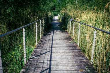 Reims, Fransa, 2 Mayıs 2025, Reims şehrinde bir su bahçesi bulunan bahçe düzenlemesi. Yolculuklarına devam etmeden önce dinlenmek ve beslenmek için orada duran göçmen kuşların favorisi.