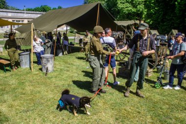 Reims, Fransa, 10 Mayıs 2025 1945 Amerikan Müttefik askeri kampının tarihi canlandırması. Sergide kostümlü insanlar, araçlar, silahlar, lojistik ve II. Dünya Savaşı sırasında kullanılan dönem aksesuarları yer alıyor.