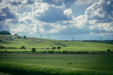 Reims, Fransa, 13 Mayıs 2025. Reims yakınlarında şampanya bağları. Şampanya şarapları dünya çapında bilinir ve eşsizdir çünkü sadece Fransa 'nın bu bölgesinde yetişir. Baharda yapraklar büyümeye başlar..