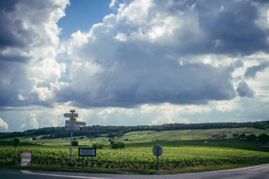 Reims, Fransa, 13 Mayıs 2025. Reims yakınlarında şampanya bağları. Şampanya şarapları dünya çapında bilinir ve eşsizdir çünkü sadece Fransa 'nın bu bölgesinde yetişir. Baharda yapraklar büyümeye başlar..