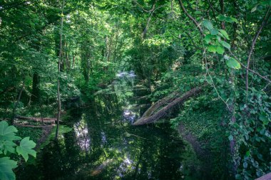Reims, Fransa, 14 Mayıs 2025. Fransa 'nın Reims kenti yakınlarındaki şampanya manzarası. İlkbaharda, Şampanya ovasındaki mısır gevreği tarlaları büyümeye ve ufku yoğun bir yeşille kaplamaya başlar..