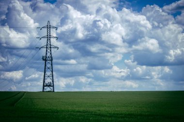 Reims, Fransa, 14 Mayıs 2025. Fransa 'nın Reims kenti yakınlarındaki şampanya manzarası. İlkbaharda, Şampanya ovasındaki mısır gevreği tarlaları büyümeye ve ufku yoğun bir yeşille kaplamaya başlar..