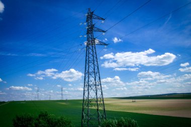 Reims, Fransa, 22 Mayıs 2025 Champagne peyzajı Fransa 'nın Reims kenti yakınlarında. İlkbaharda, Şampanya ovasındaki mısır gevreği tarlaları büyümeye ve ufku yoğun bir yeşille kaplamaya başlar..