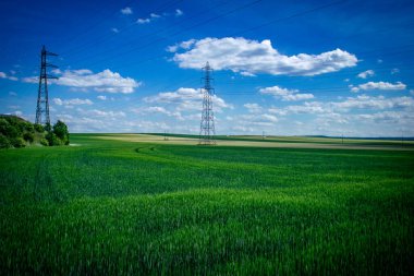 Reims, Fransa, 22 Mayıs 2025 Champagne peyzajı Fransa 'nın Reims kenti yakınlarında. İlkbaharda, Şampanya ovasındaki mısır gevreği tarlaları büyümeye ve ufku yoğun bir yeşille kaplamaya başlar..