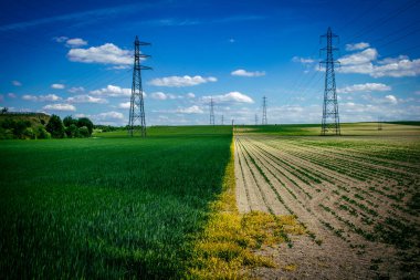 Reims, Fransa, 22 Mayıs 2025 Champagne peyzajı Fransa 'nın Reims kenti yakınlarında. İlkbaharda, Şampanya ovasındaki mısır gevreği tarlaları büyümeye ve ufku yoğun bir yeşille kaplamaya başlar..