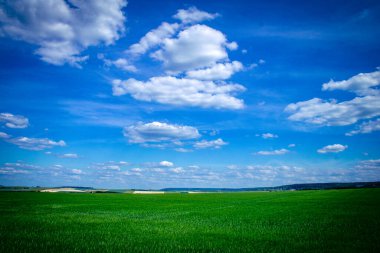 Reims, Fransa, 22 Mayıs 2025 Champagne peyzajı Fransa 'nın Reims kenti yakınlarında. İlkbaharda, Şampanya ovasındaki mısır gevreği tarlaları büyümeye ve ufku yoğun bir yeşille kaplamaya başlar..