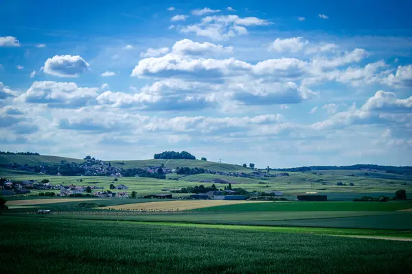 Reims, Fransa, 22 Mayıs 2025 Reims yakınlarındaki şampanya bağları. Şampanya şarapları dünya çapında bilinir ve eşsizdir çünkü sadece Fransa 'nın bu bölgesinde yetişir. Baharda yapraklar büyümeye başlar..