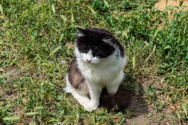 Kharkiv, Ukrayna, 11 Haziran 2025 Kurbanlar, Rus Shahed İHA 'sının çarptığı apartmanlarının yanında duruyor. Hasar çok fazlaydı. Siviller Rus saldırılarının başlıca hedefleri..