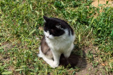 Kharkiv, Ukrayna, 11 Haziran 2025 Kurbanlar, Rus Shahed İHA 'sının çarptığı apartmanlarının yanında duruyor. Hasar çok fazlaydı. Siviller Rus saldırılarının başlıca hedefleri..