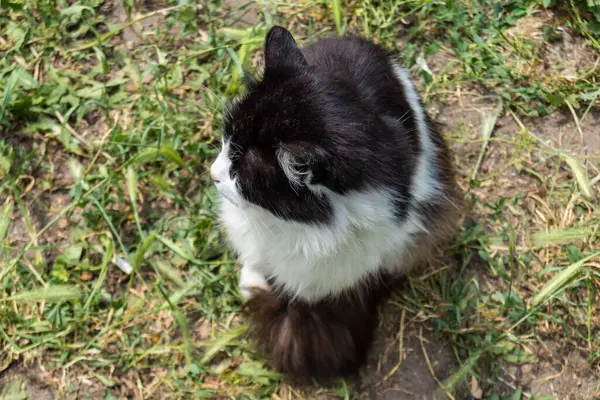 Kharkiv, Ukrayna, 11 Haziran 2025 Kurbanlar, Rus Shahed İHA 'sının çarptığı apartmanlarının yanında duruyor. Hasar çok fazlaydı. Siviller Rus saldırılarının başlıca hedefleri..