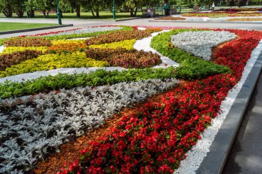 Kharkiv, Ukrayna, 4 Temmuz 2025 Shevchenko Bahçesi, yüzyıllık meşe ağaçları, fıskiyeler, çiçek yatakları ve spor malzemeleriyle Harkiv 'in göbeğindeki zarif park. İnsanlar oraya yürümeyi sever..