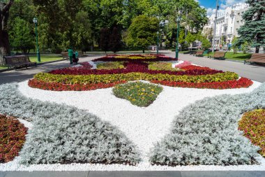 Kharkiv, Ukrayna, 4 Temmuz 2025 Shevchenko Bahçesi, yüzyıllık meşe ağaçları, fıskiyeler, çiçek yatakları ve spor malzemeleriyle Harkiv 'in göbeğindeki zarif park. İnsanlar oraya yürümeyi sever..