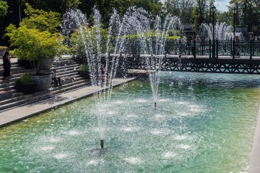 Kharkiv, Ukrayna, 4 Temmuz 2025 Shevchenko Bahçesi, yüzyıllık meşe ağaçları, fıskiyeler, çiçek yatakları ve spor malzemeleriyle Harkiv 'in göbeğindeki zarif park. İnsanlar oraya yürümeyi sever..