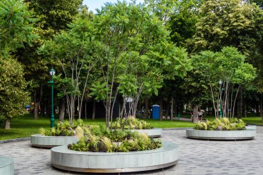 Kharkiv, Ukrayna, 4 Temmuz 2025 Shevchenko Bahçesi, yüzyıllık meşe ağaçları, fıskiyeler, çiçek yatakları ve spor malzemeleriyle Harkiv 'in göbeğindeki zarif park. İnsanlar oraya yürümeyi sever..