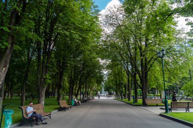 Kharkiv, Ukrayna, 4 Temmuz 2025 Shevchenko Bahçesi, yüzyıllık meşe ağaçları, fıskiyeler, çiçek yatakları ve spor malzemeleriyle Harkiv 'in göbeğindeki zarif park. İnsanlar oraya yürümeyi sever..