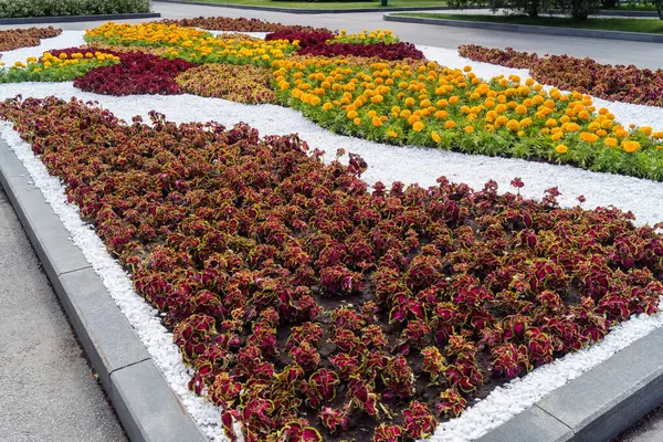 Kharkiv, Ukrayna, 4 Temmuz 2025 Shevchenko Bahçesi, yüzyıllık meşe ağaçları, fıskiyeler, çiçek yatakları ve spor malzemeleriyle Harkiv 'in göbeğindeki zarif park. İnsanlar oraya yürümeyi sever..