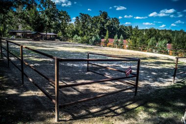 Lisne, Ukrayna, 5 Ağustos 2025 Feldman Ecopark, çocuklar için hayvan bakımı ve terapiyi özel ihtiyaçlarla birleştiren bir peyzaj parkı. Bölge 2022 yılında Rus ordusu tarafından işgal edildi..