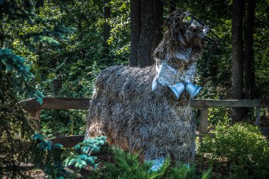 Lisne, Ukrayna, 5 Ağustos 2025 Feldman Ecopark, çocuklar için hayvan bakımı ve terapiyi özel ihtiyaçlarla birleştiren bir peyzaj parkı. Bölge 2022 yılında Rus ordusu tarafından işgal edildi..