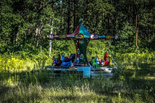 Lisne, Ukrayna, 5 Ağustos 2025 Feldman Ecopark, çocuklar için hayvan bakımı ve terapiyi özel ihtiyaçlarla birleştiren bir peyzaj parkı. Bölge 2022 yılında Rus ordusu tarafından işgal edildi..