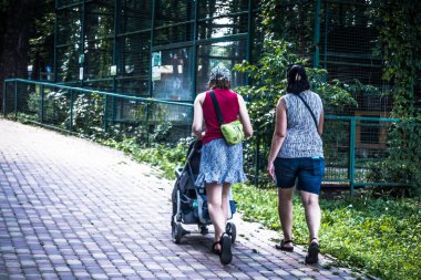 Lisne, Ukrayna, 5 Ağustos 2025 Feldman Ecopark, çocuklar için hayvan bakımı ve terapiyi özel ihtiyaçlarla birleştiren bir peyzaj parkı. Bölge 2022 yılında Rus ordusu tarafından işgal edildi..