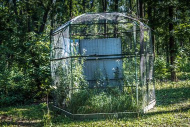 Lisne, Ukrayna, 5 Ağustos 2025 Feldman Ecopark, çocuklar için hayvan bakımı ve terapiyi özel ihtiyaçlarla birleştiren bir peyzaj parkı. Bölge 2022 yılında Rus ordusu tarafından işgal edildi..