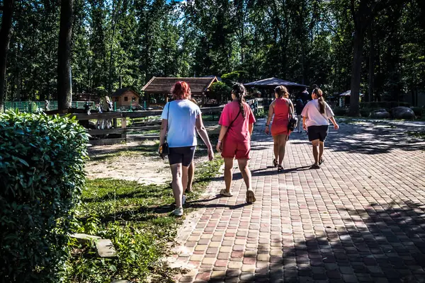 Lisne, Ukrayna, 5 Ağustos 2025 Feldman Ecopark, çocuklar için hayvan bakımı ve terapiyi özel ihtiyaçlarla birleştiren bir peyzaj parkı. Bölge 2022 yılında Rus ordusu tarafından işgal edildi..