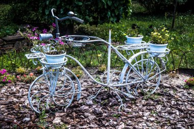 Lisne, Ukrayna, 5 Ağustos 2025 Feldman Ecopark, çocuklar için hayvan bakımı ve terapiyi özel ihtiyaçlarla birleştiren bir peyzaj parkı. Bölge 2022 yılında Rus ordusu tarafından işgal edildi..