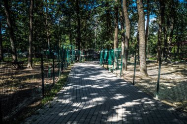 Lisne, Ukrayna, 5 Ağustos 2025 Feldman Ecopark, çocuklar için hayvan bakımı ve terapiyi özel ihtiyaçlarla birleştiren bir peyzaj parkı. Bölge 2022 yılında Rus ordusu tarafından işgal edildi..