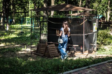 Lisne, Ukrayna, 5 Ağustos 2025 Feldman Ecopark, çocuklar için hayvan bakımı ve terapiyi özel ihtiyaçlarla birleştiren bir peyzaj parkı. Bölge 2022 yılında Rus ordusu tarafından işgal edildi..