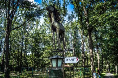 Lisne, Ukrayna, 5 Ağustos 2025 Feldman Ecopark, çocuklar için hayvan bakımı ve terapiyi özel ihtiyaçlarla birleştiren bir peyzaj parkı. Bölge 2022 yılında Rus ordusu tarafından işgal edildi..