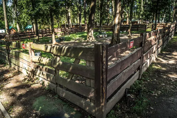 Lisne, Ukrayna, 5 Ağustos 2025 Feldman Ecopark, çocuklar için hayvan bakımı ve terapiyi özel ihtiyaçlarla birleştiren bir peyzaj parkı. Bölge 2022 yılında Rus ordusu tarafından işgal edildi..