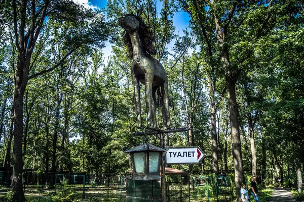 Lisne, Ukrayna, 5 Ağustos 2025 Feldman Ecopark, çocuklar için hayvan bakımı ve terapiyi özel ihtiyaçlarla birleştiren bir peyzaj parkı. Bölge 2022 yılında Rus ordusu tarafından işgal edildi..