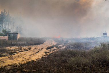 Donbas, Ukrayna, 13 Ağustos 2025 Rus saldırısı sonrası bir Ukrayna uçaksavar silahı bir Rus saldırısı sırasında ateşle yok edildi. Olay yerinde yangın çıktı ve ormanı da sardı..