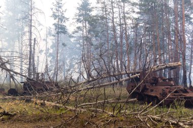 Donbas, Ukrayna, 13 Ağustos 2025 Rus saldırısı sonrası bir Ukrayna uçaksavar silahı bir Rus saldırısı sırasında ateşle yok edildi. Olay yerinde yangın çıktı ve ormanı da sardı..