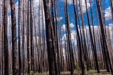 Donbass, Ukrayna, 13 Ağustos 2025 Donbass yolları büyük yıkımlarla ve özellikle 2022 'de Rusya' nın tam ölçekli işgalinden sonra kıyametsel bir manzarayla harabe haline geldi..
