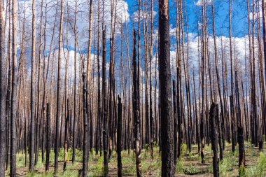 Donbass, Ukrayna, 13 Ağustos 2025 Donbass yolları büyük yıkımlarla ve özellikle 2022 'de Rusya' nın tam ölçekli işgalinden sonra kıyametsel bir manzarayla harabe haline geldi..