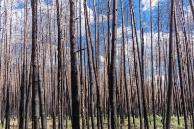 Donbass, Ukrayna, 13 Ağustos 2025 Donbass yolları büyük yıkımlarla ve özellikle 2022 'de Rusya' nın tam ölçekli işgalinden sonra kıyametsel bir manzarayla harabe haline geldi..