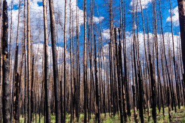 Donbass, Ukrayna, 13 Ağustos 2025 Donbass yolları büyük yıkımlarla ve özellikle 2022 'de Rusya' nın tam ölçekli işgalinden sonra kıyametsel bir manzarayla harabe haline geldi..