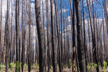 Donbass, Ukrayna, 13 Ağustos 2025 Donbass yolları büyük yıkımlarla ve özellikle 2022 'de Rusya' nın tam ölçekli işgalinden sonra kıyametsel bir manzarayla harabe haline geldi..